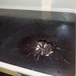 This Is Why You Should Never Place a Hot Lid Facedown on Your Glass Top Stove