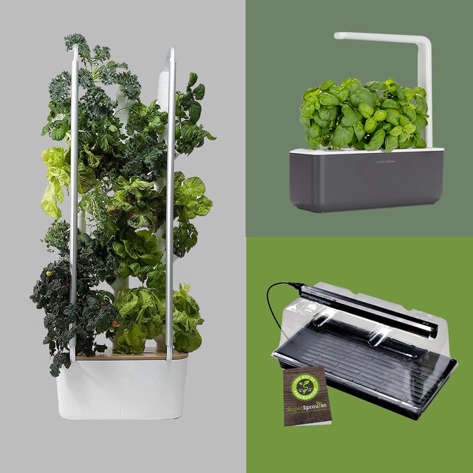 7 Best Indoor Gardening Kits And Systems For 2022