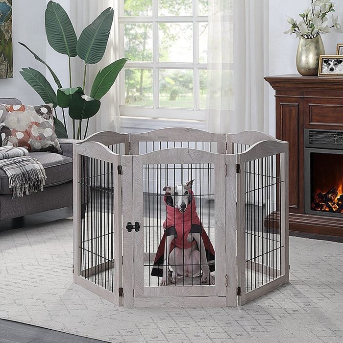Best Free Standing Pet Gate Via Chewy