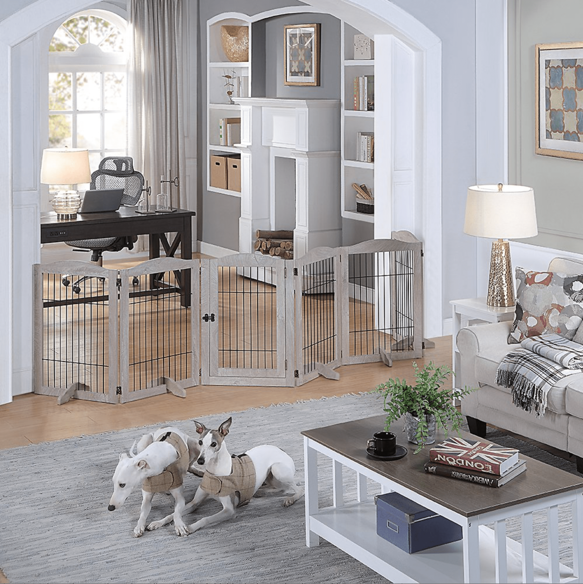 Best Free Standing Pet Gate Via Chewy
