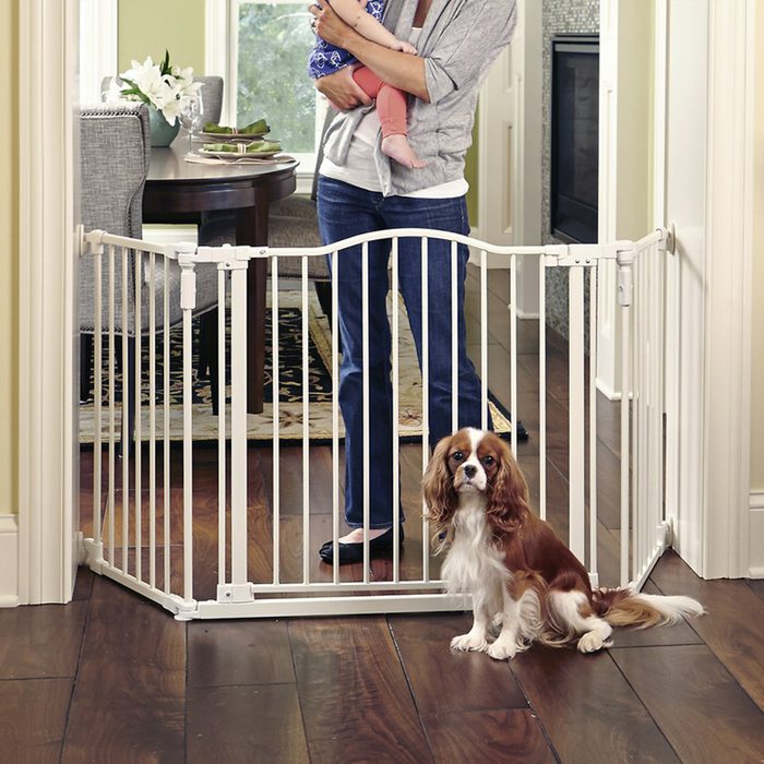 Best Pet Gate For Large Areas Via Chewy