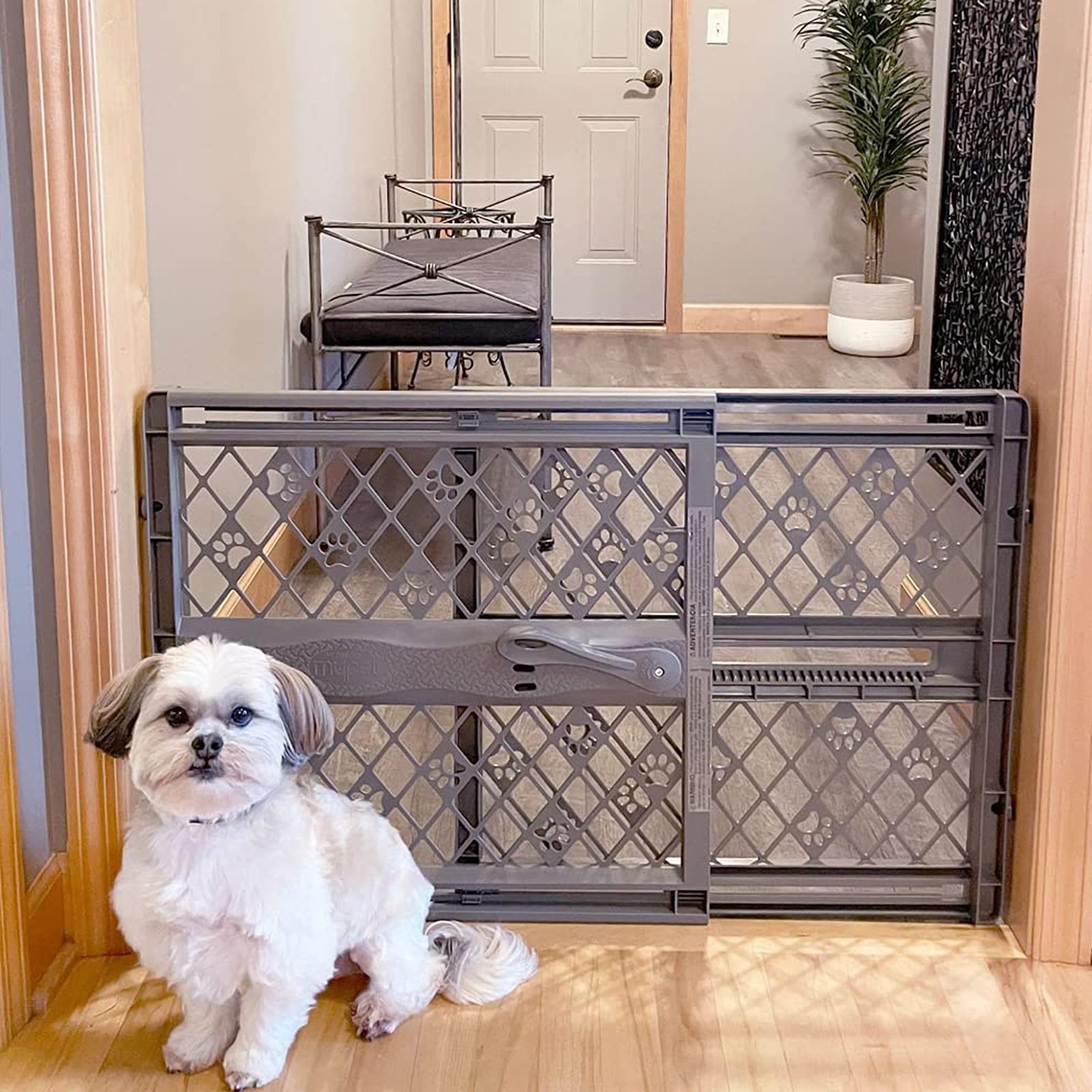 Best Pet Gate For Small Dogs Via Amazon