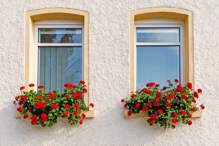 two windows with flower boxes on exterior of house