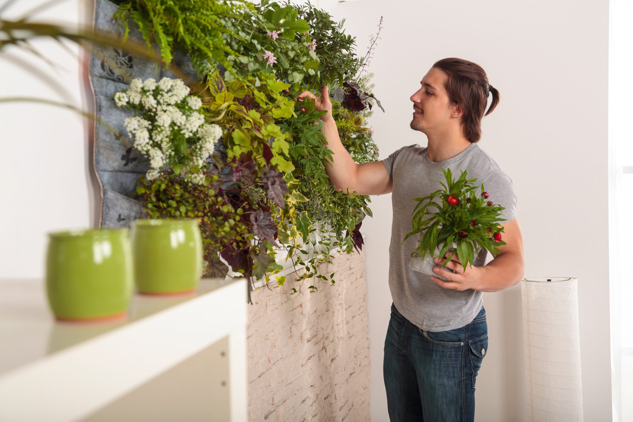 Young man attending his vertical garden at home