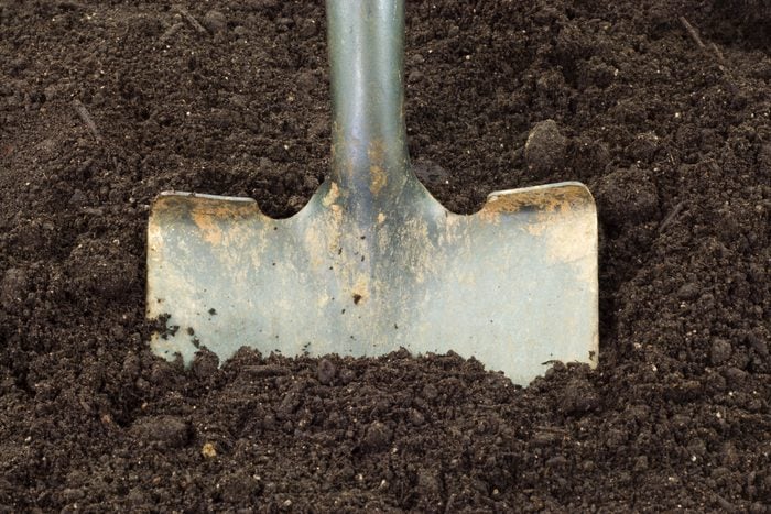 close up of metal shovel in garden soil