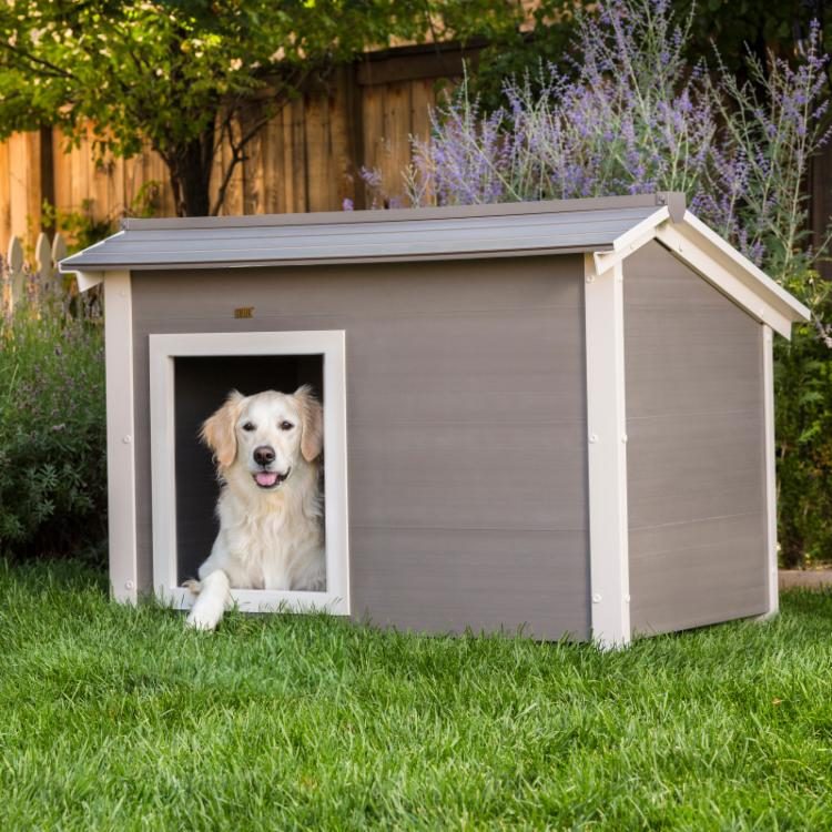 Dog House Outside 