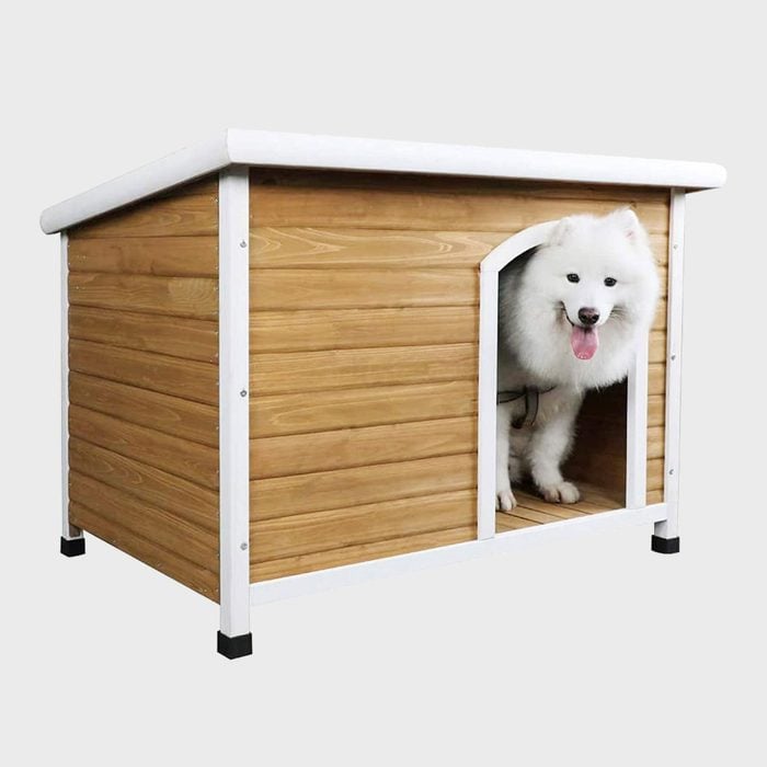 Heated Dog House 