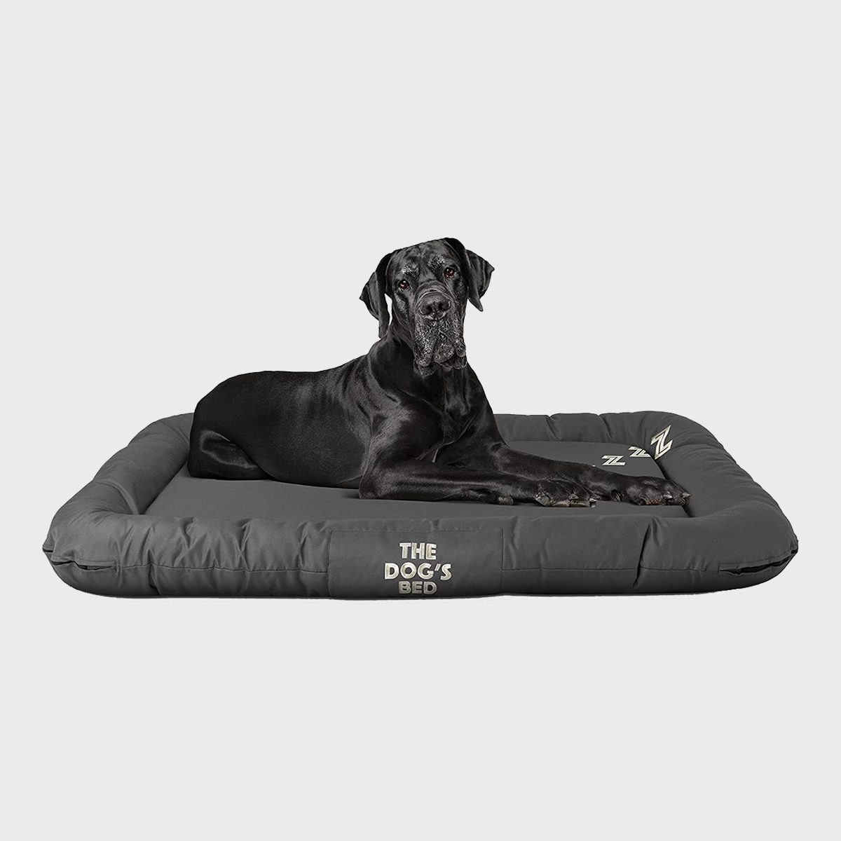 The Dogs Balls Dog Bed