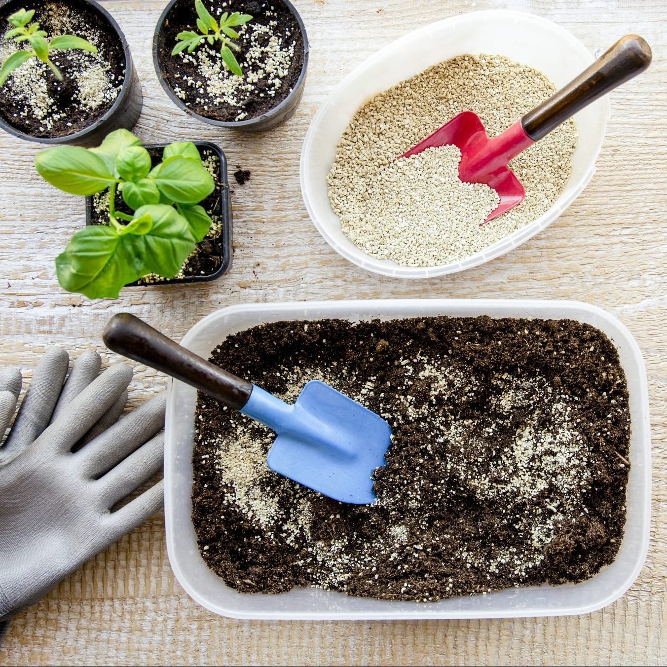 When to Add Perlite Soil to Container Gardens - Countryside