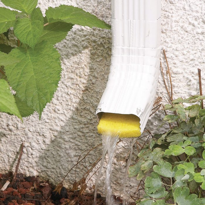 a sponge installed at the bottom of a drain pipe on the side of a house