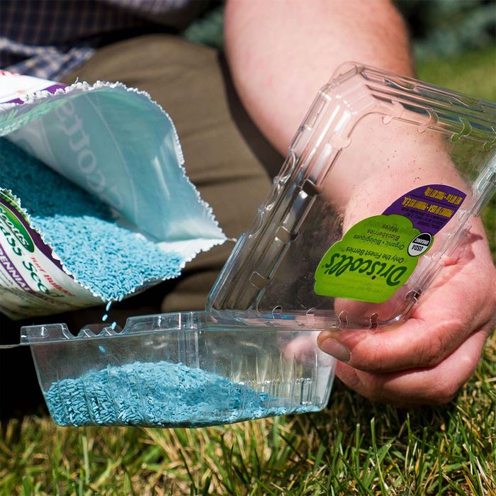 pouring grass seed into a used plastic berry container for broadcasting