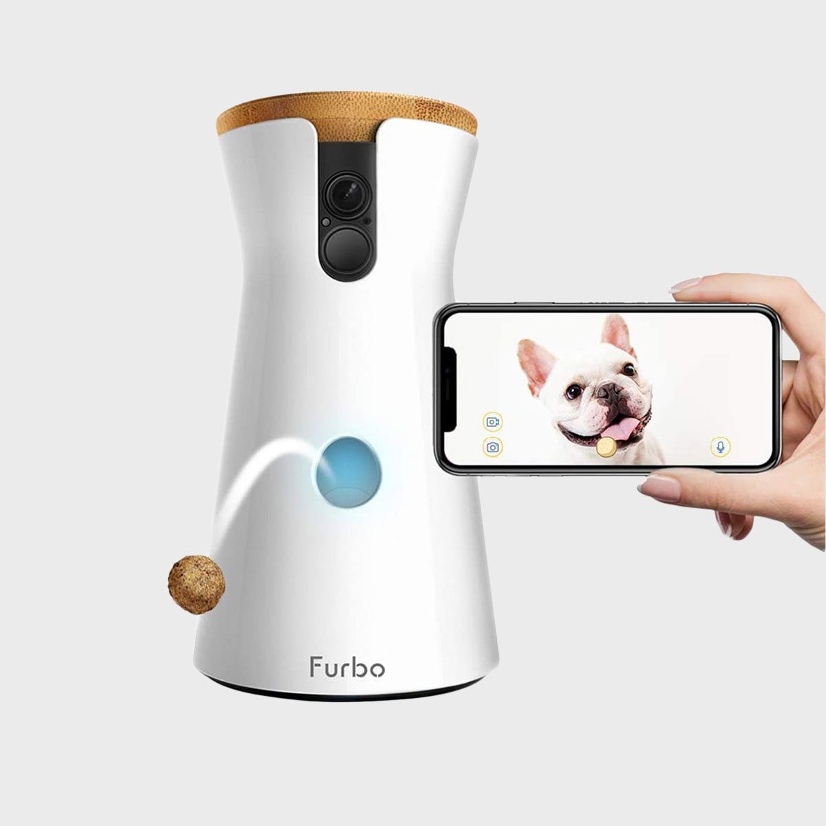 This Pet Camera Helps You Keep An Eye On Your Furry Friends While Youre Away