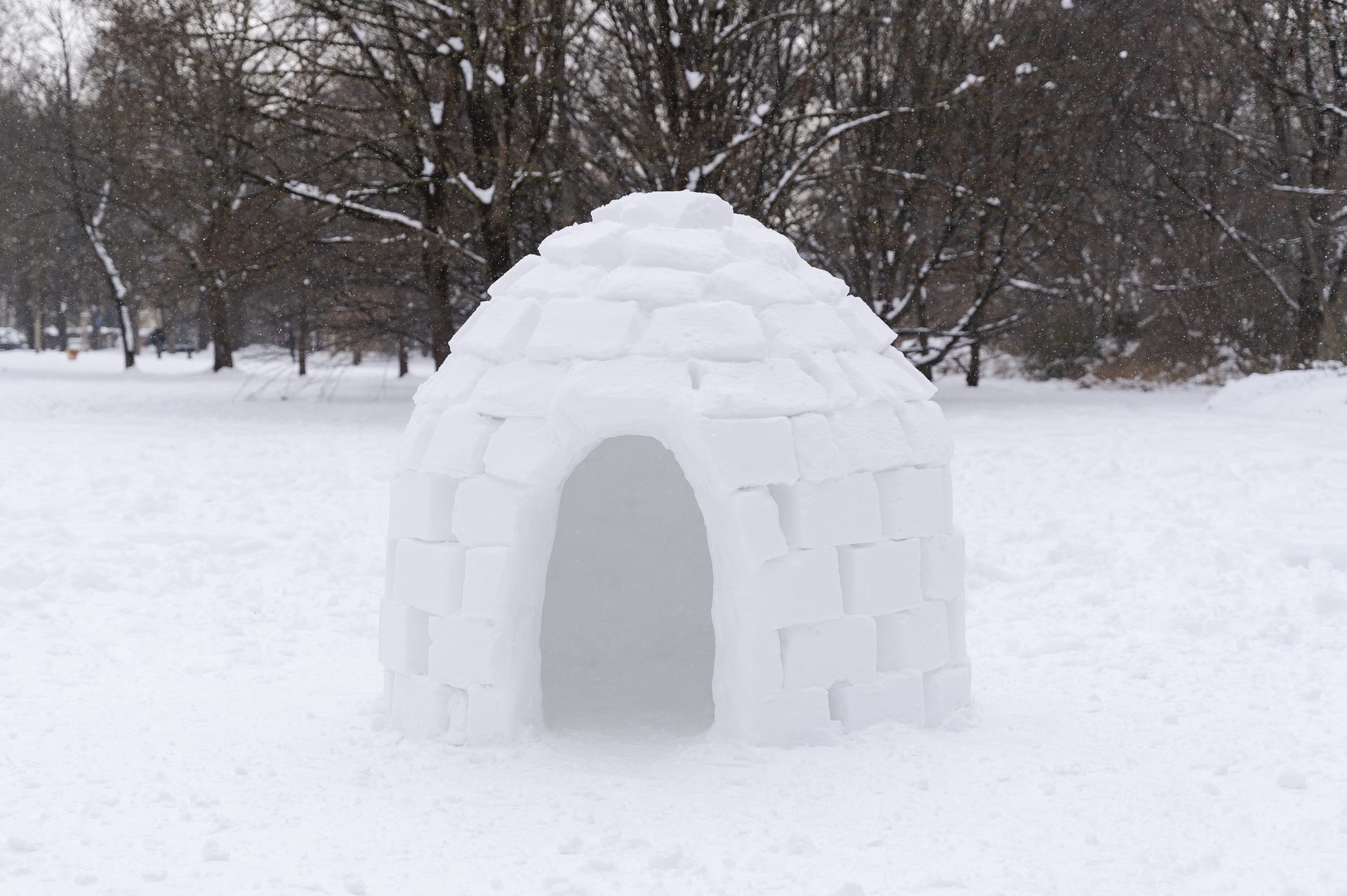 How to build an igloo out of snow (Easy secret tip!) - Your Modern Family