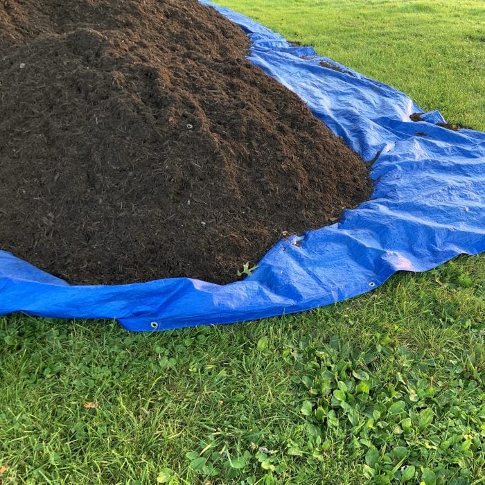 Compost on Blue Tarp