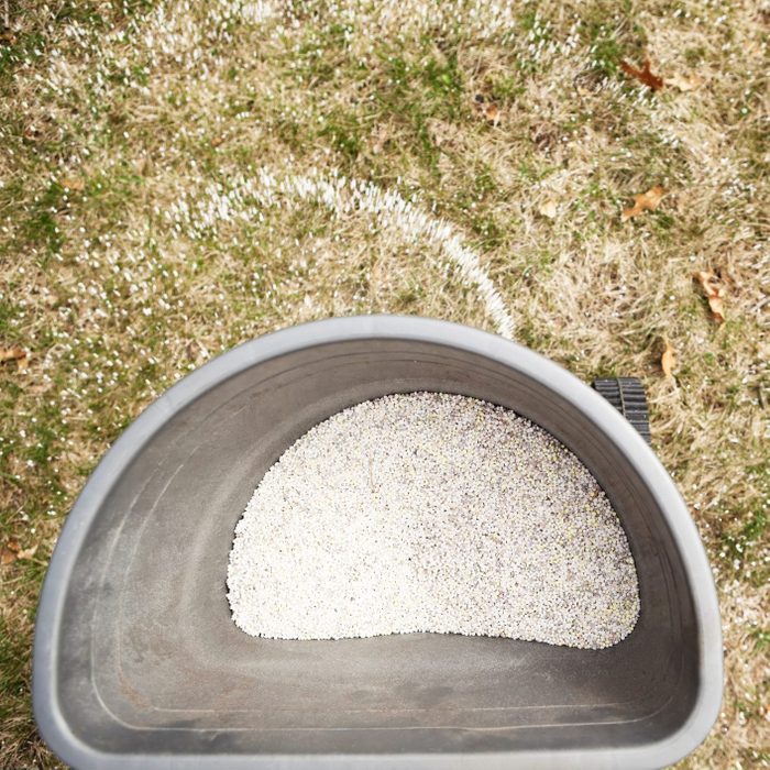 Broadcast Spreader Applying Fertilizer to Grass