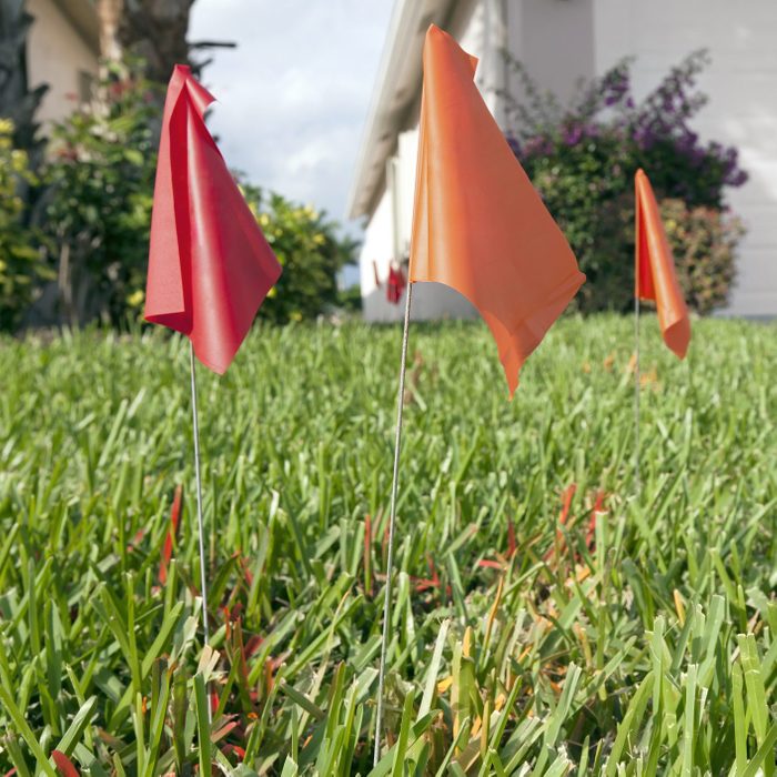 Flags marking underground utilities