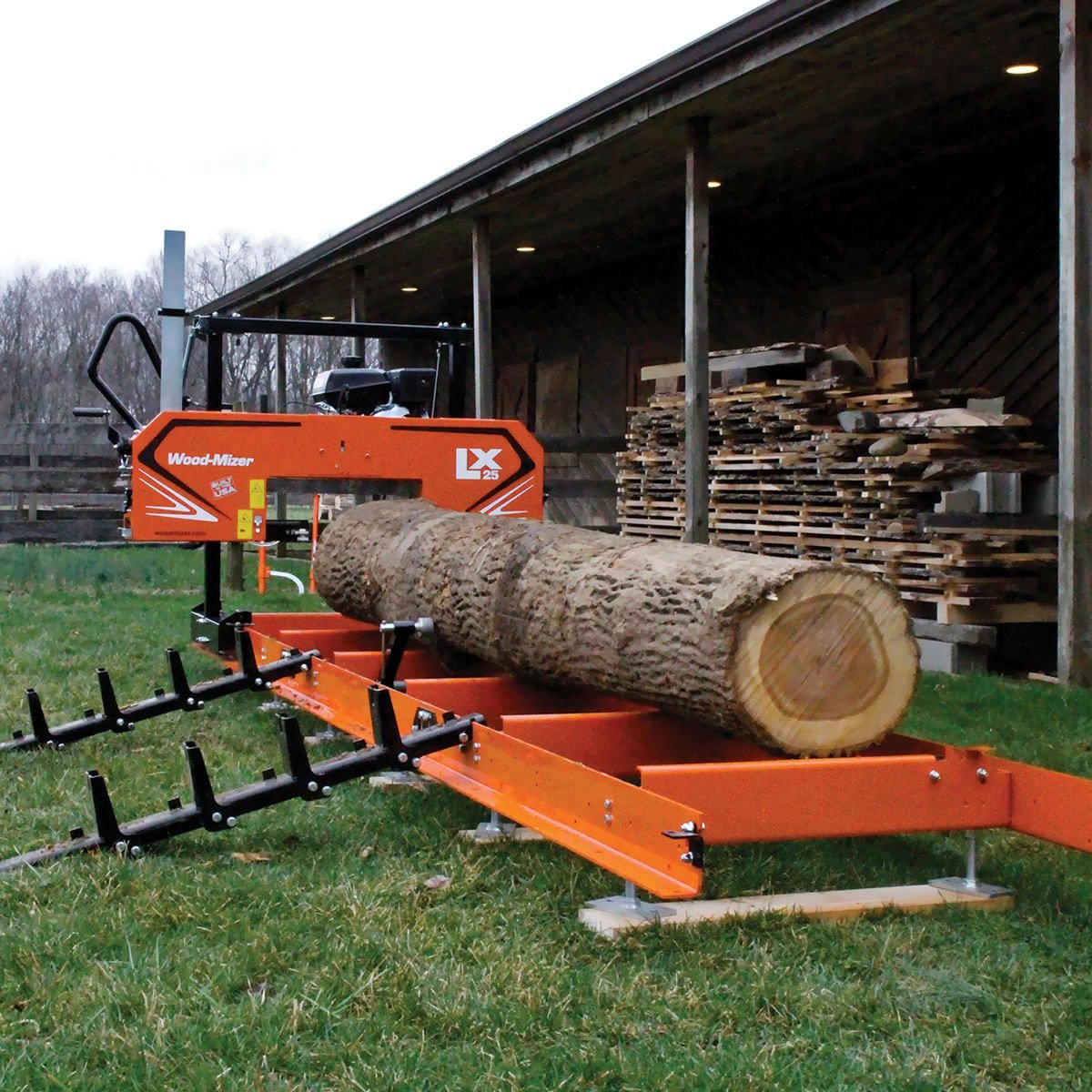 TimberKing Full-Auto Sharpener - TimberKing