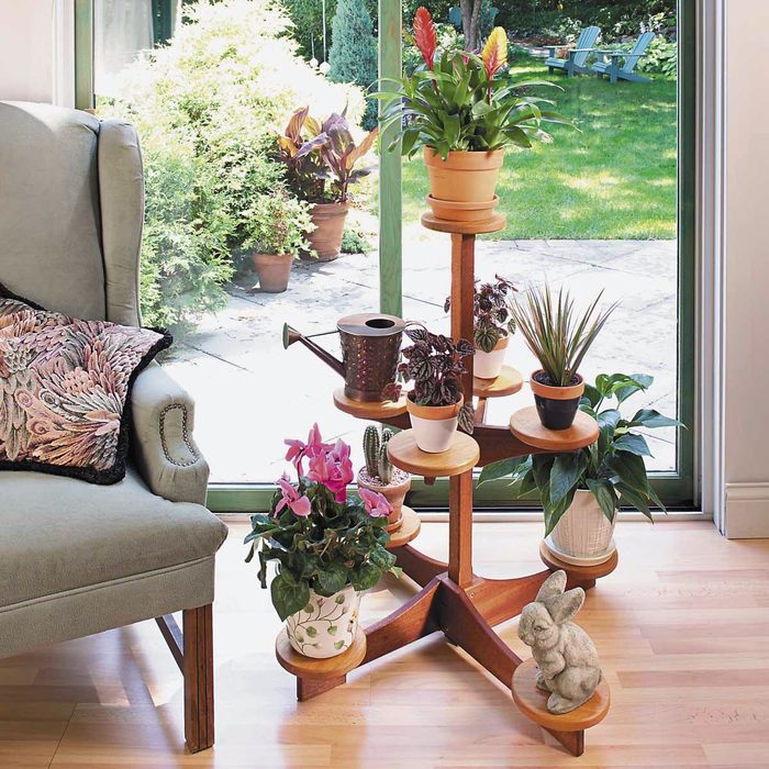 A Multi Level Indoor Plant Stand