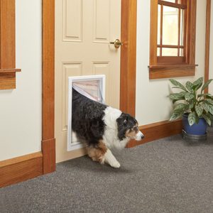 How to Install a Dog Door