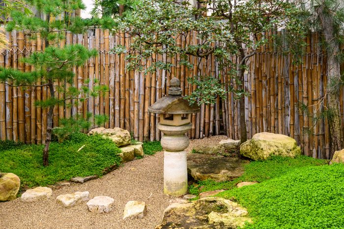 Chinese garden. wonderful world of plants. Botanical Garden. Zen.