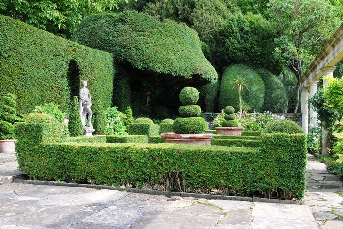 Formal mannerist Garden with Topiary Hedge Sculpting