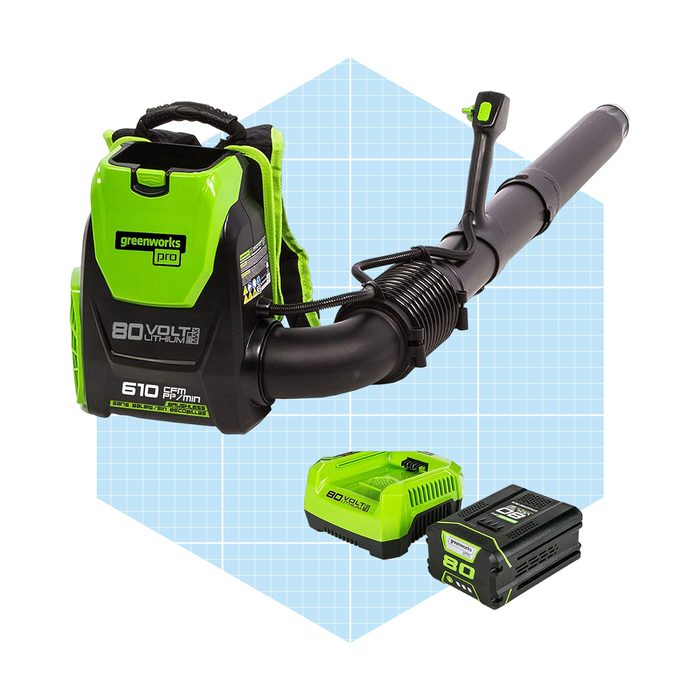 Greenworks Bpb80l2510 Backpack Leaf Blower