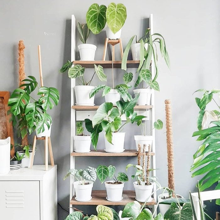 Книжная полка Полка для растений Via Alamdalamrumah Instagram