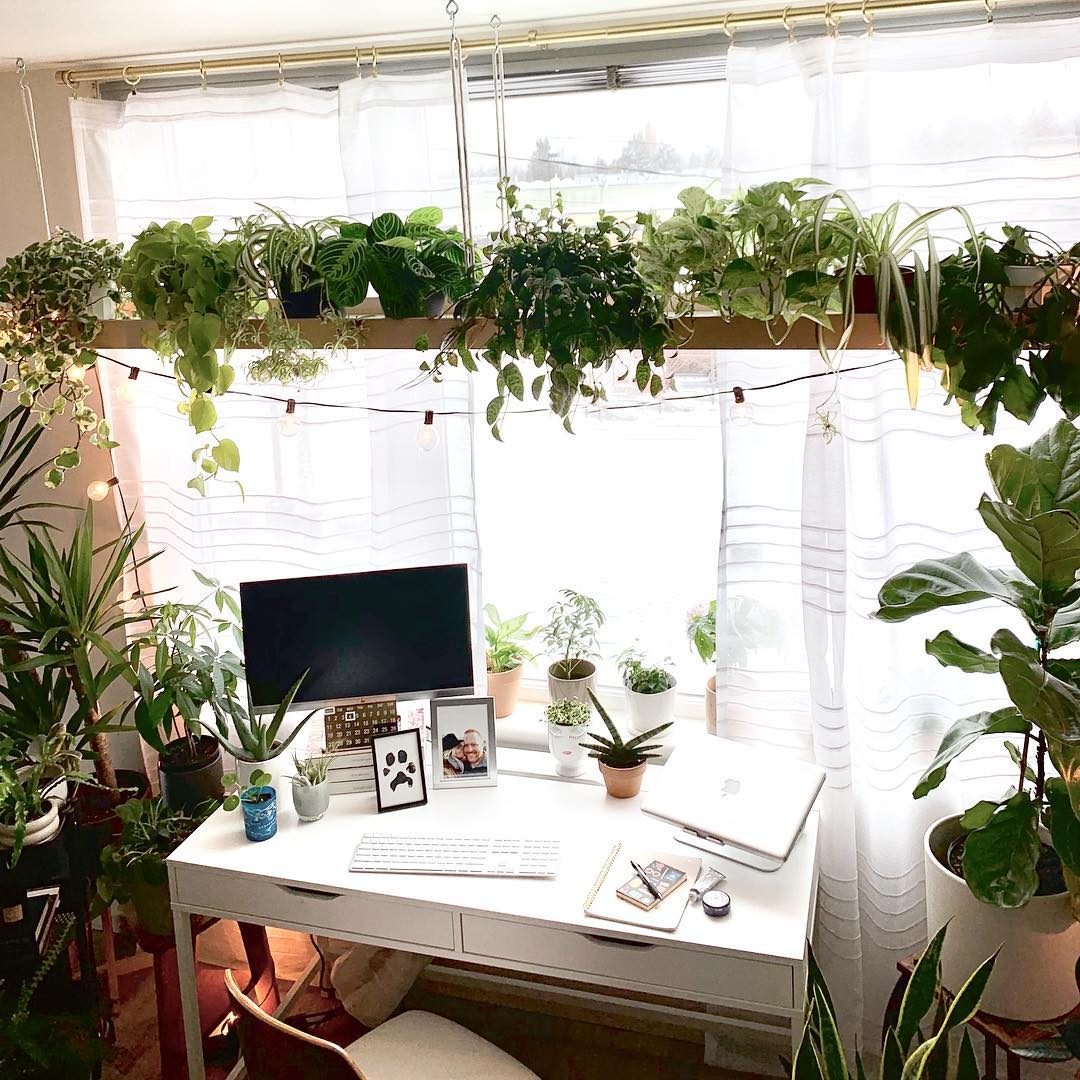 Hanging Plant Shelf Ecomm Courtesy Styled By Christine Instagram