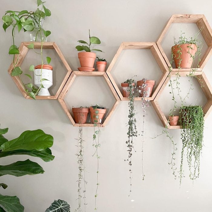 Hexagon Plant Shelf Via Frecklesandfiddles Instagram