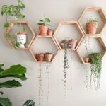 Indoor Plant Shelf Ideas To Make More Space for Green
