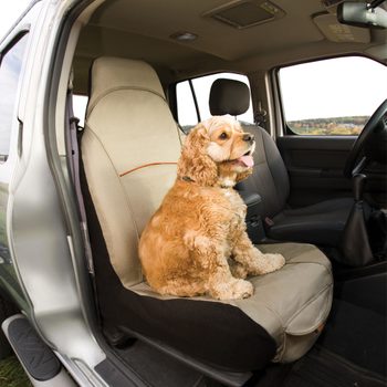 Kurgo Copilot Seat Cover Ft Ecomm Via Chewy.com