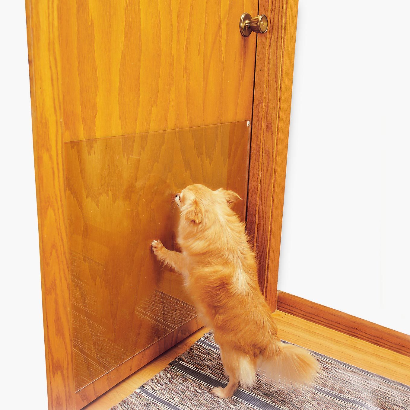 Protect Door From Scratches