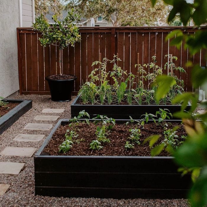 Side Yard Vegetable Garden Via Fredricksonlandscapeinc Instagram