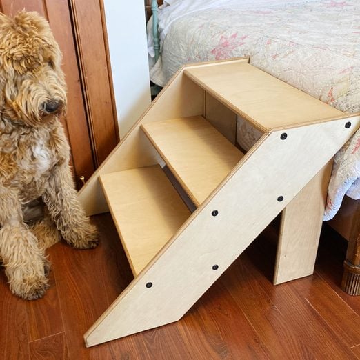 dog standing next to dog stairs