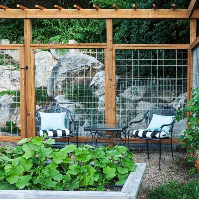 picture of a vegetable garden in raised beds with two chairs and a tall deer fence surrounding the area