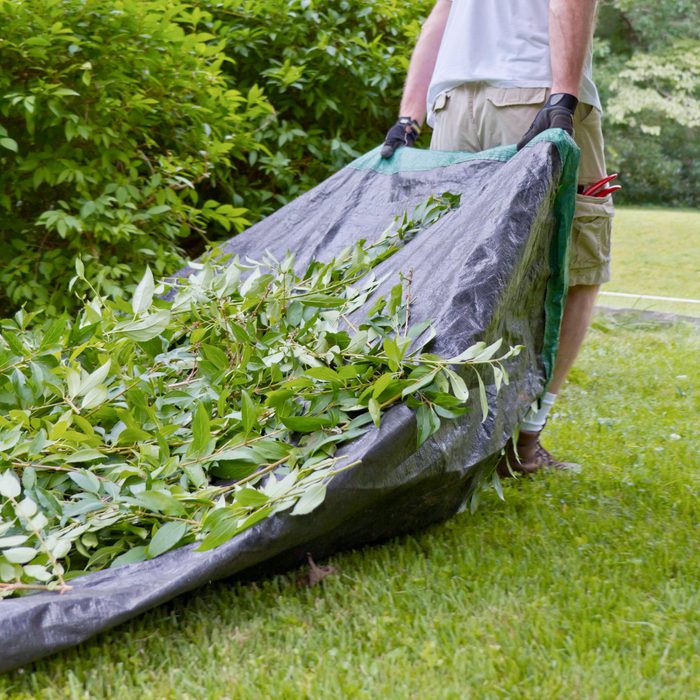 man dragging tarp filled with branches