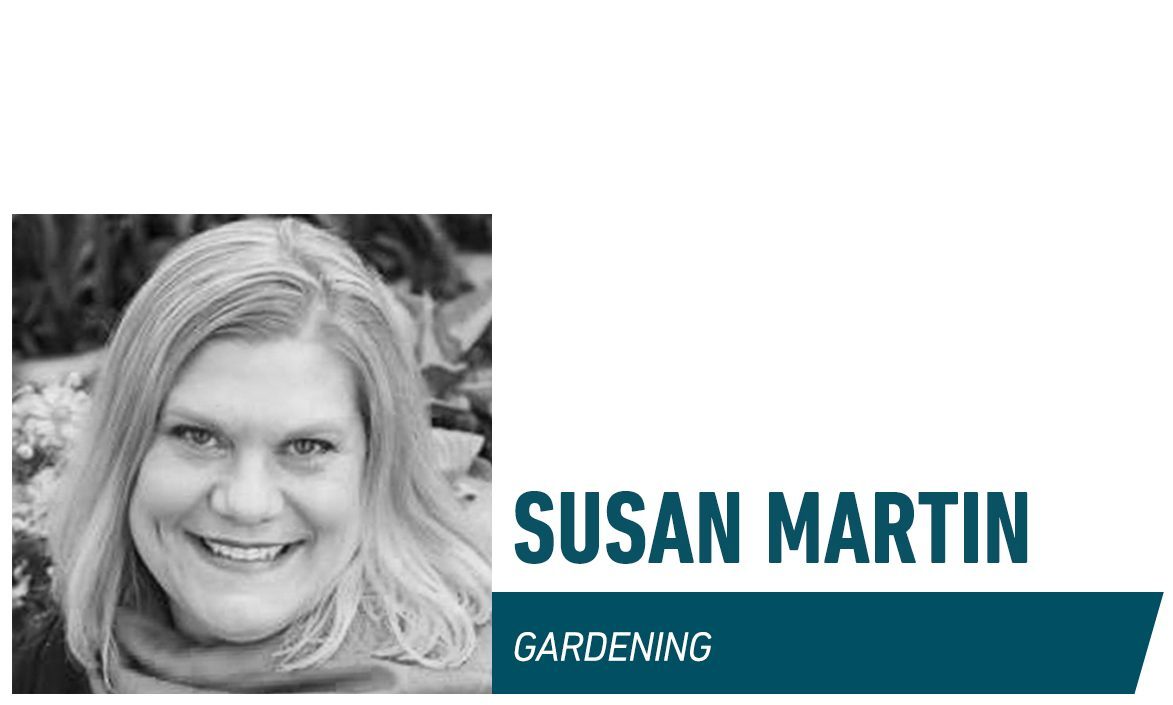 Gardening Susan Martin Family Handyman