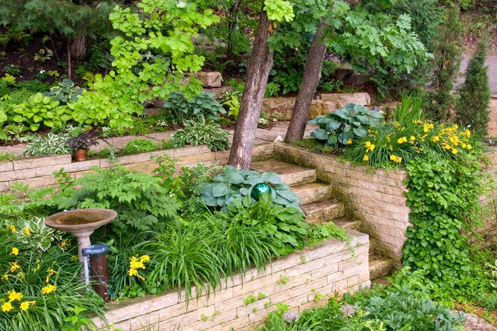 Green garden with trees and shrubs with stairs and Garden Retaining Walls