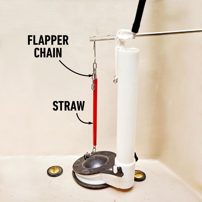 Jvedit Fh22d Toilet Tips 02 10 001 Tips For Cleaning And Maintaining Your Toilet Flush Without Hang Ups