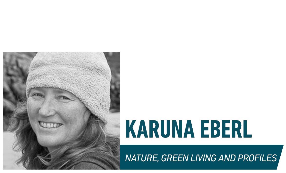 Nature Green Living And Profiles Karuna Eberl Family Handyman