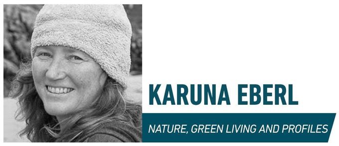 Nature Green Living And Profiles Karuna Eberl Family Handyman