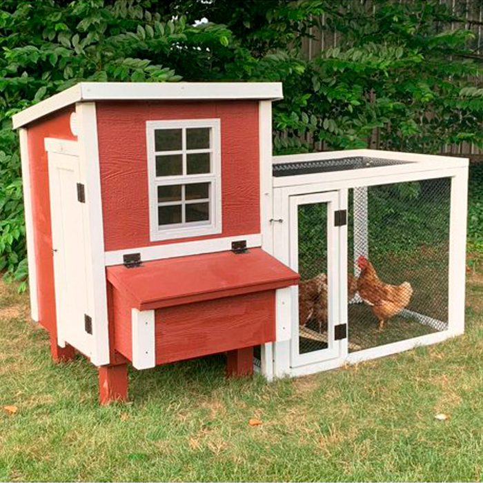 Overez Coop In A Box Up To 5 Chickens