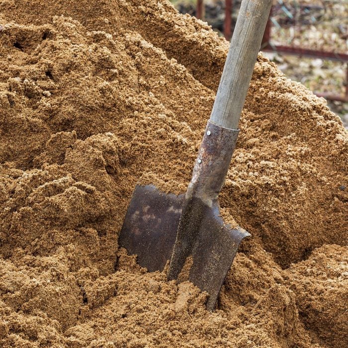 What To Know About Sandy Soil For Your Garden Gettyimages 539232242