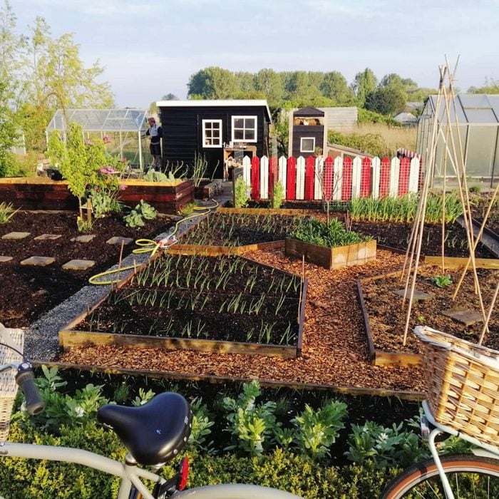 vegetable garden with a short fence made from wooden pallets