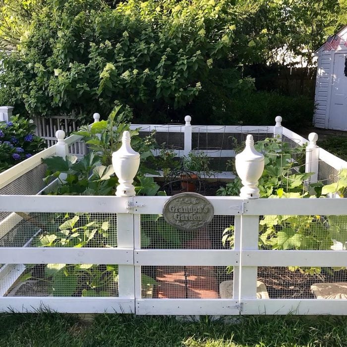 small garden with a white fence around it and a sign that says grandpas garden