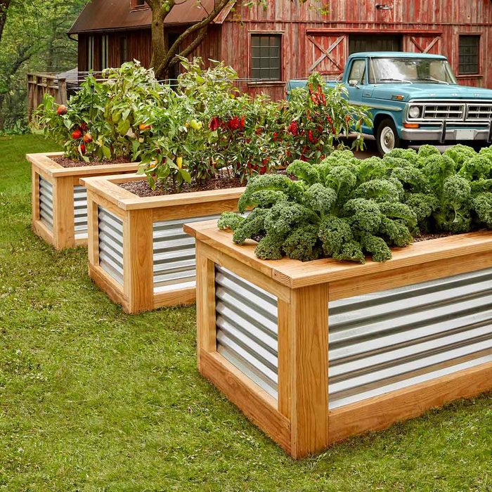 Diy Corrugated Metal And Wood Raised Garden Bed Fh19mar 592 00 008 Hsp