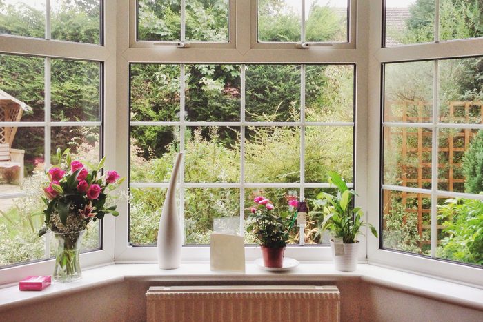 Rose bouquet and pot plants on bay window in a home