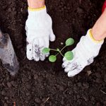 What the Color of Your Garden Soil Means