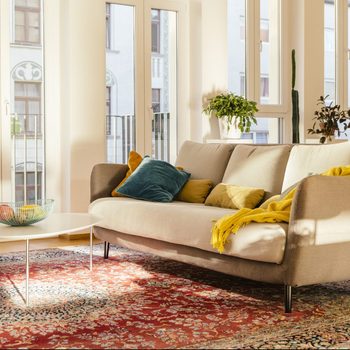 clean Persian rug in a living room