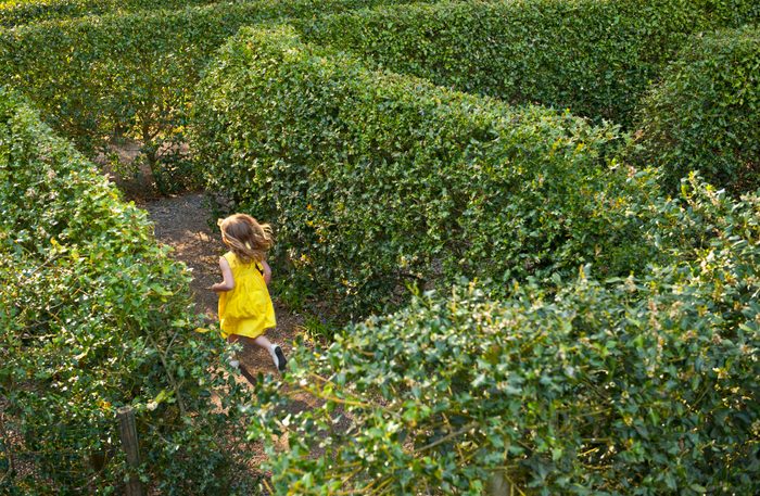 girl in a yellow dress running in a hedge maze